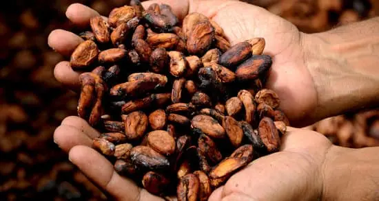 Cacao para echar en la cerveza