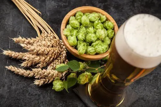Ingredientes de la cerveza