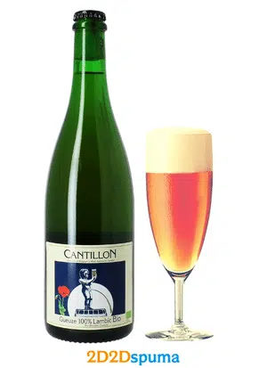 Cantillon Gueuze 100% Lambic Bio 75 cl