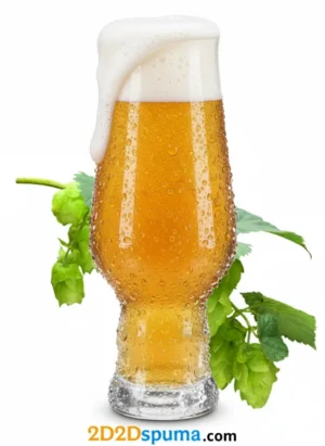 Vaso para cerveza IPA Splendour 40cl