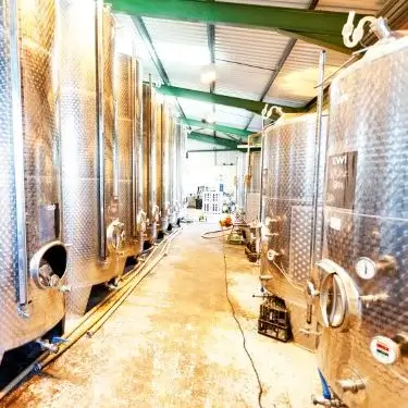 Fermentadores de cerveza