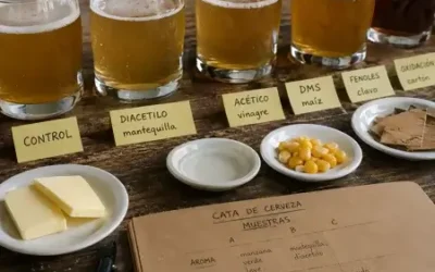 Cómo identificar defectos en la cerveza y entrenar tu paladar