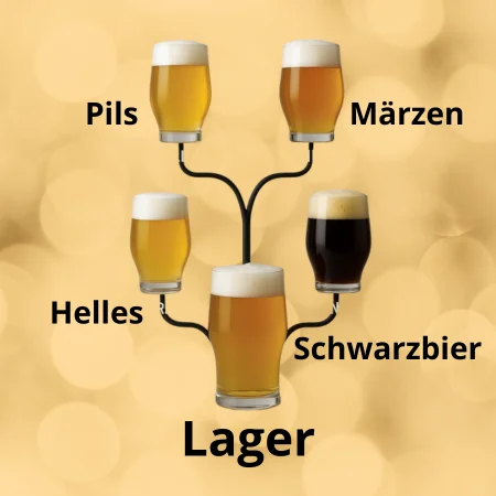 ¿Es lo mismo la cerveza Pils y la Lager?